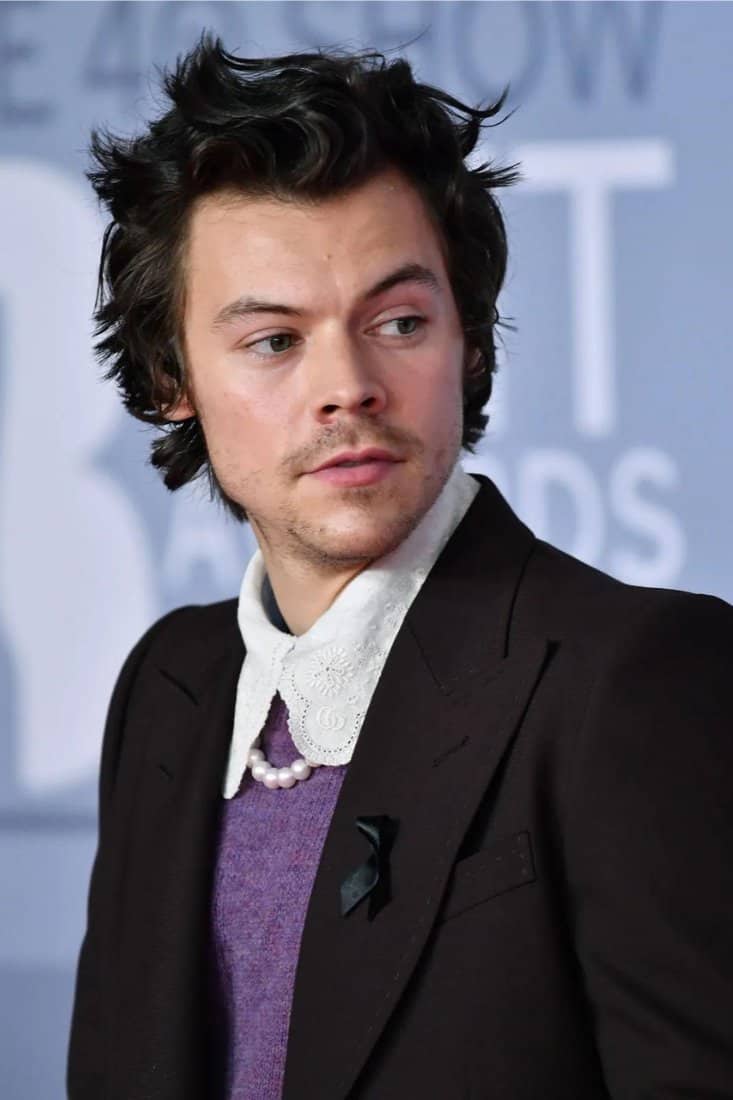 15 BEST Harry Styles Quiz Questions and Answers 2024 Quiz